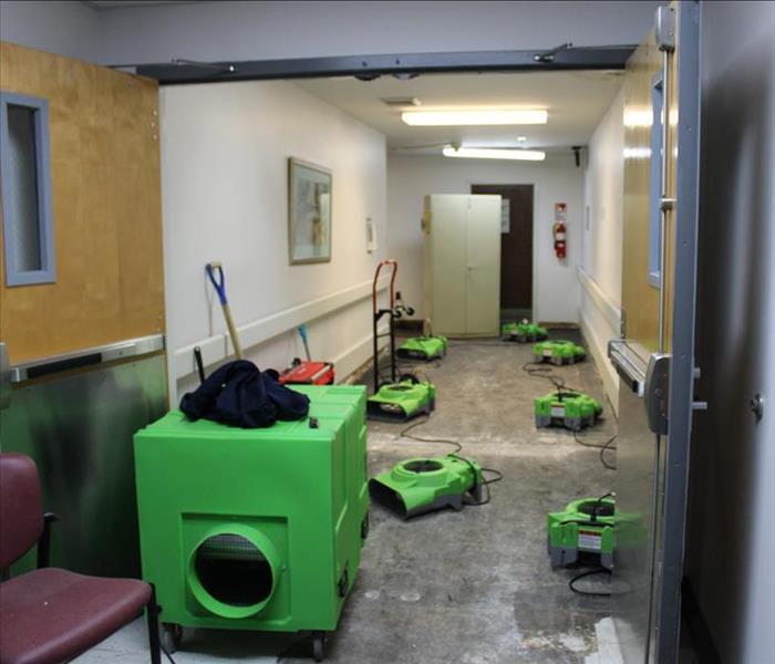 green SERVPRO air movers in a carpeted hallway of a commercial building with many doors down the hallway